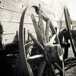 Wilfred Ritchie Profile Picture