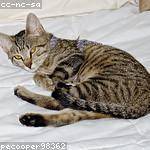 Catalina Reinger Profile Picture