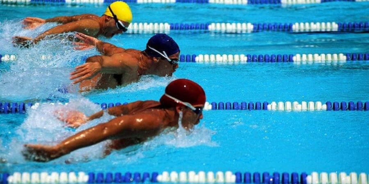 The Thrill of the Bet: Dive into the World of Sports Toto Sites