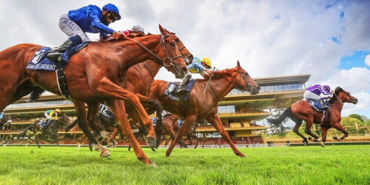 Korean Sports Gambling Site: Winning with Wisdom